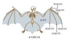 (주)미래엔 과학3~4(전자저작물CD 포함) ② 233쪽 수정내용 이미지